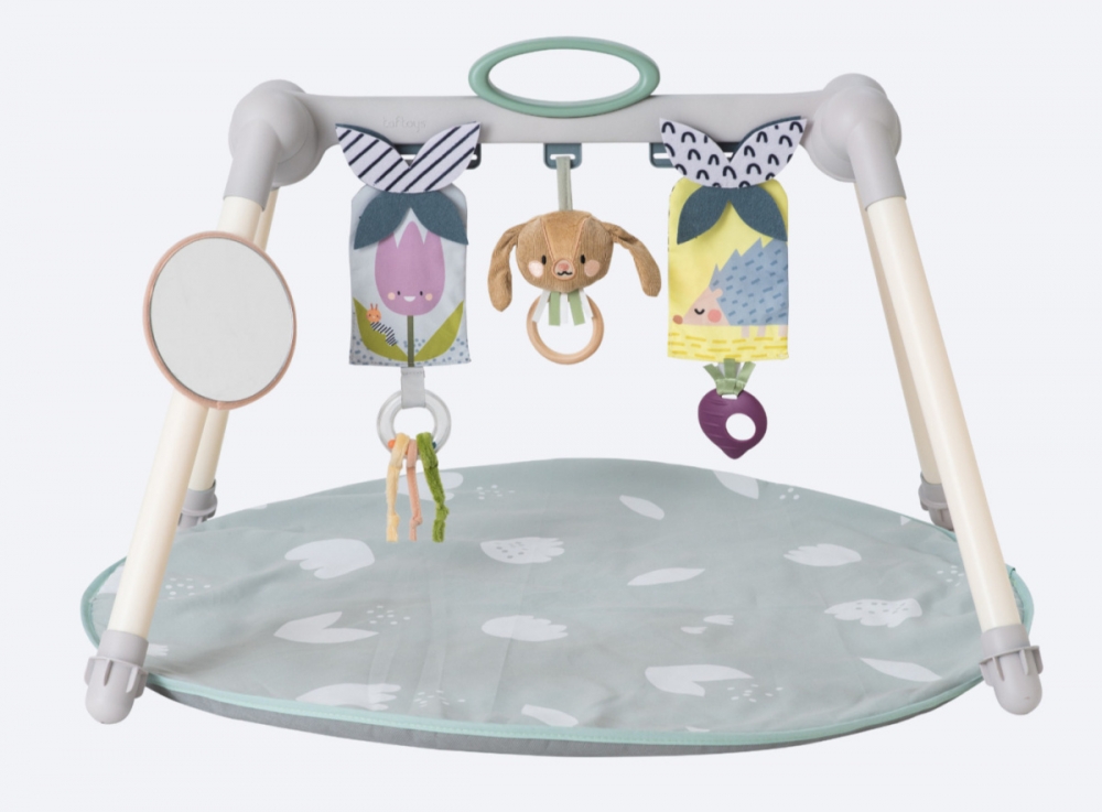 Active gymnastics, Taf Toys, Bunny Jenny and friends, 77 x 59 x 49 cm